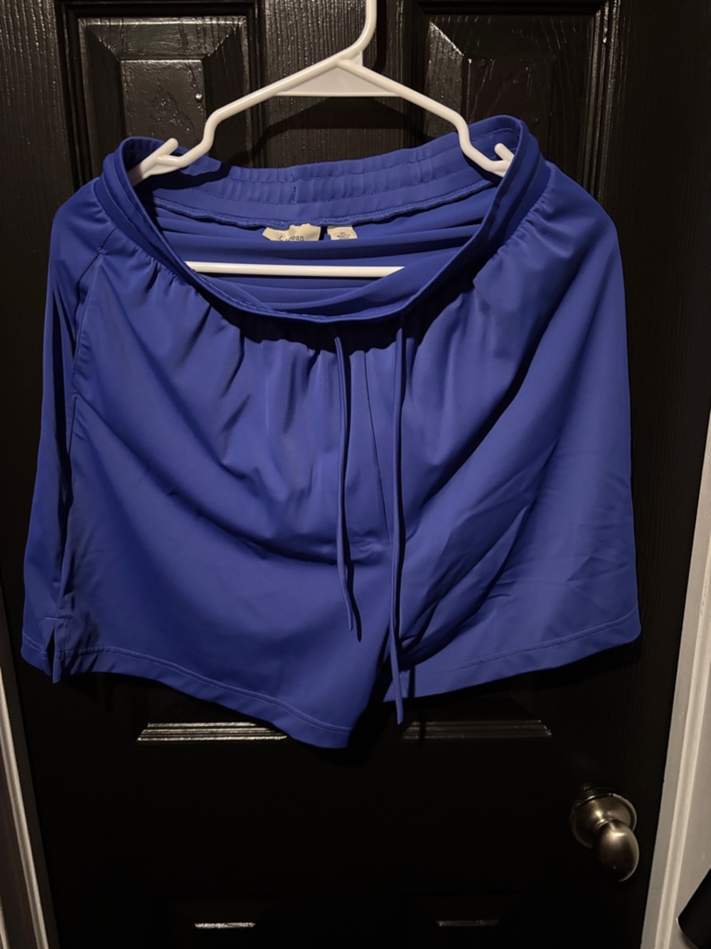 L.L. Bean Men's Athletic Shorts in Royal Blue